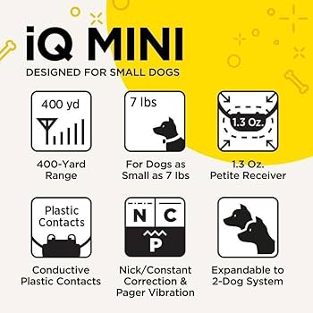 Amazon.com: Dogtra iQ Mini Rechargeable Waterproof Mini Dog